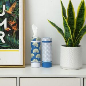Tissue can